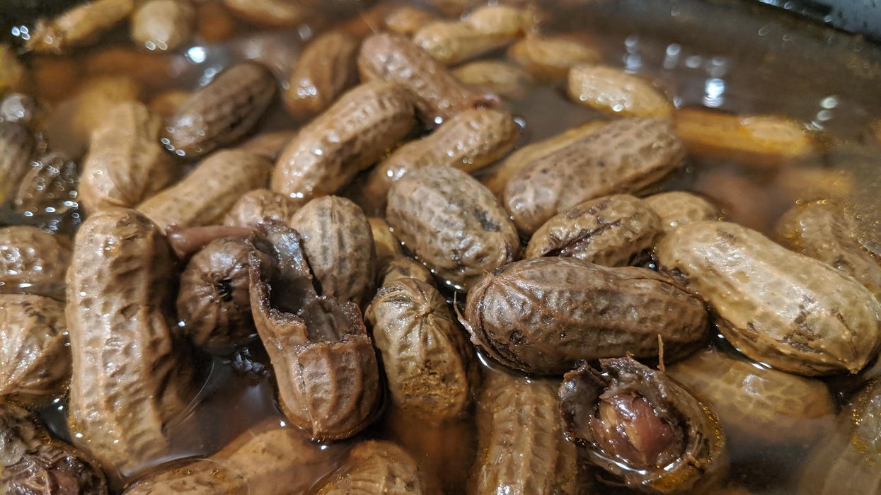 Boiled peanuts in water.