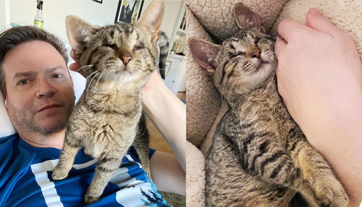 Blind Kitten Becomes Completely Affectionate Overnight After Man Took Her in
