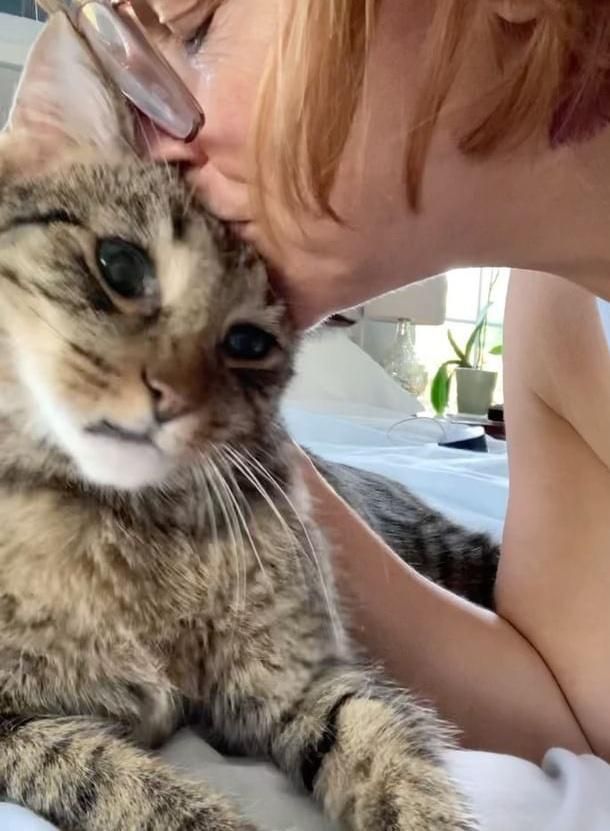 cat kisses