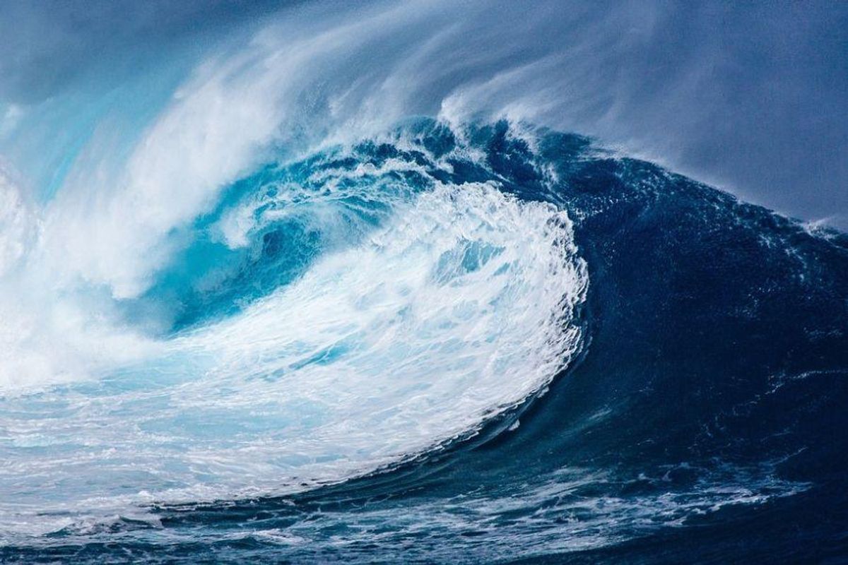 the wave afterschool special