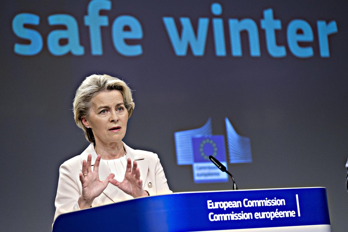 Decide la Ue se possiamo usare la lavatrice o no