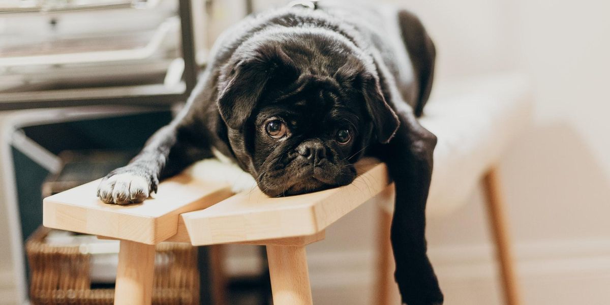 People Describe The Most Boring Hobbies A Person Can Have