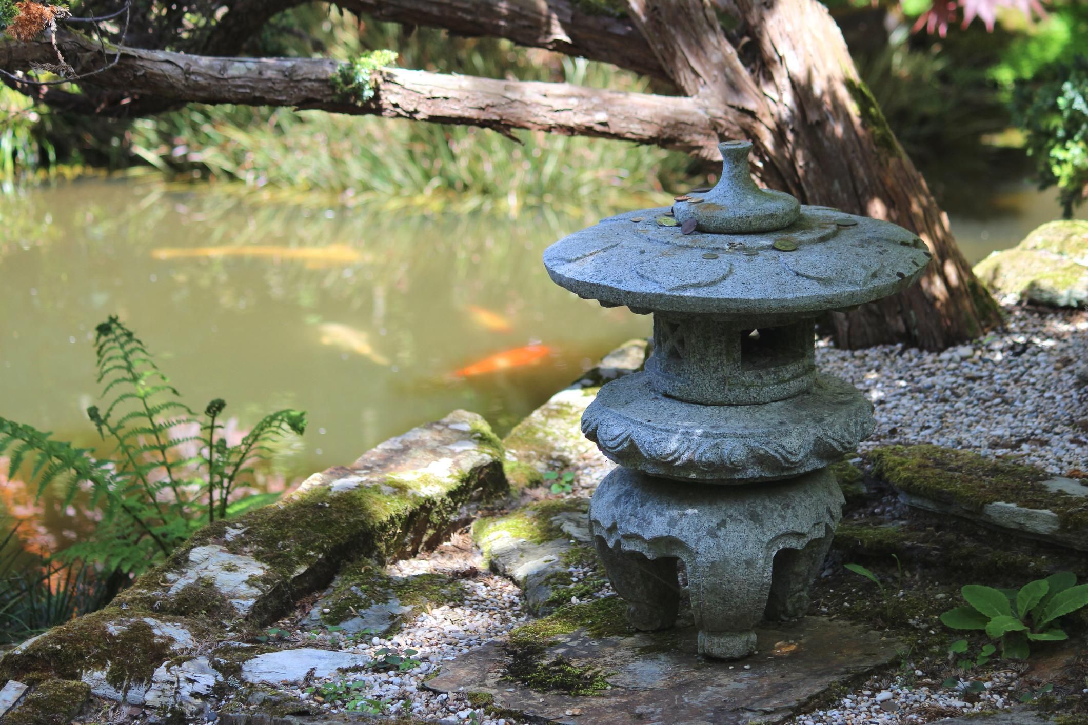 Il giardino giapponese per meditare tra fiori e alberi nel cuore di Roma
