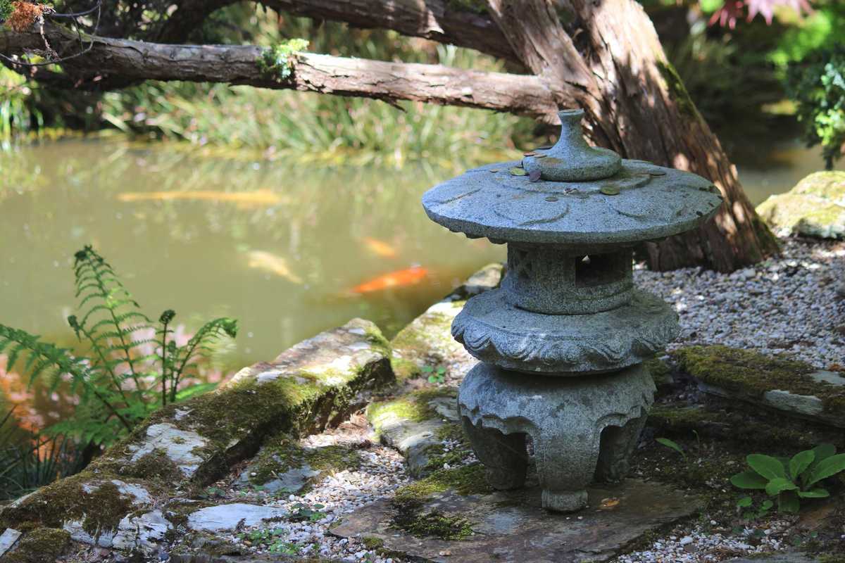 Il giardino giapponese per meditare tra fiori e alberi nel cuore di Roma