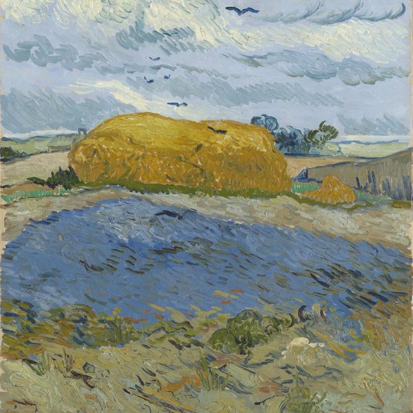 Van Gogh in mostra a Roma