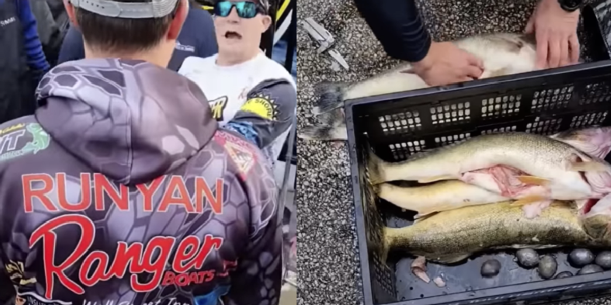 Video Fishermen caught cheating at Lake Erie Walleye Trail TheBlaze