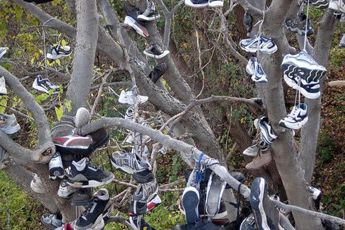 Gli alberi con le scarpe al posto dei frutti