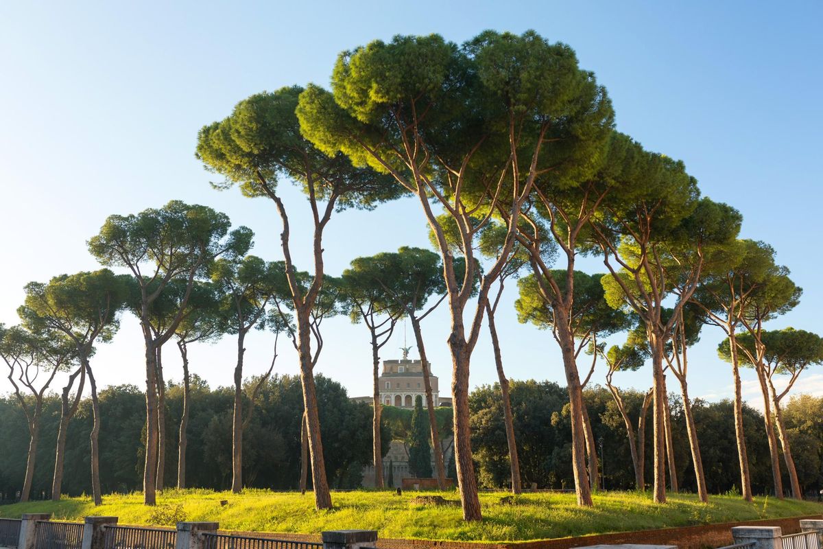 Alla scoperta dei parchi di Roma