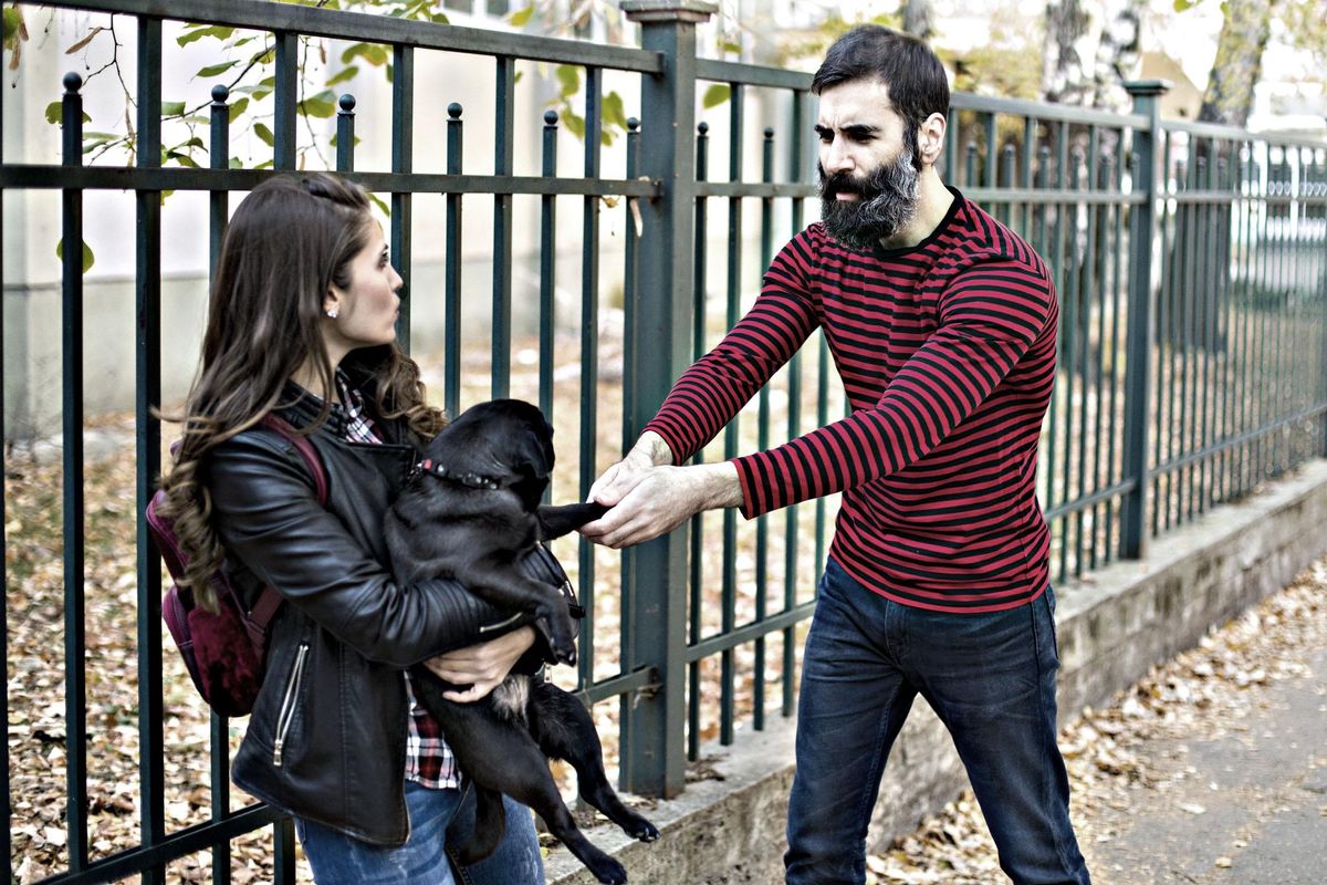 Tra moglie e marito non mettere Fido. Cuccioli contesi tra eredità e divorzi