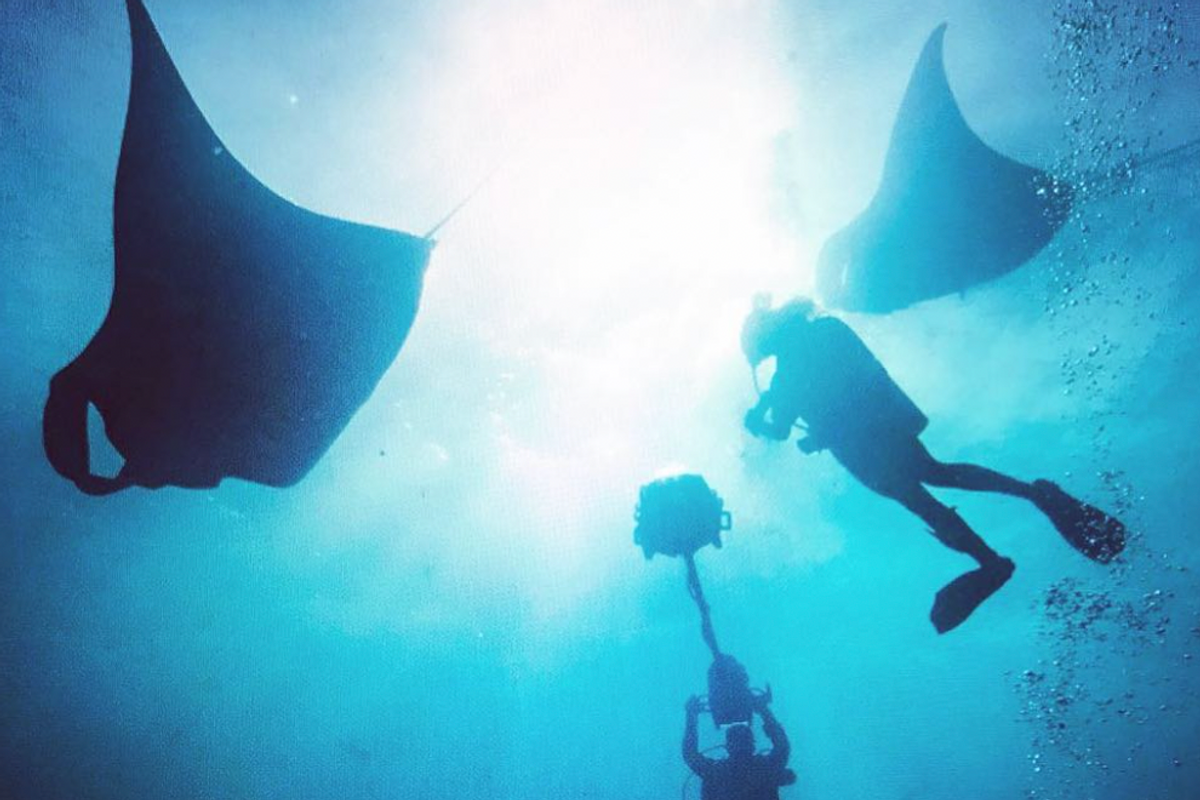 Marine biologist offers virtual deep dives—bringing us to the ocean with advanced technology