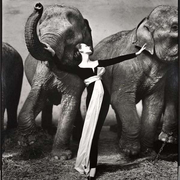 Richard Avedon a Palazzo Reale