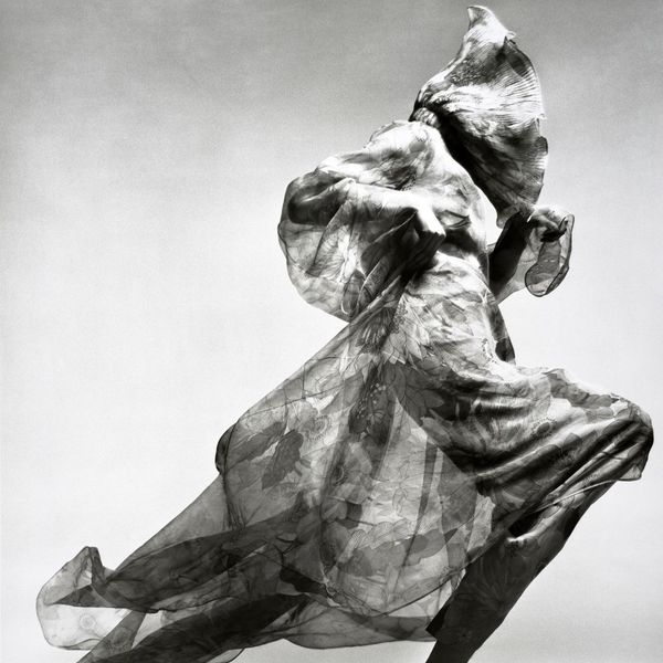 Richard Avedon a Palazzo Reale