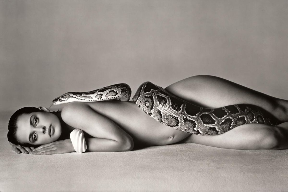 Richard Avedon a Palazzo Reale
