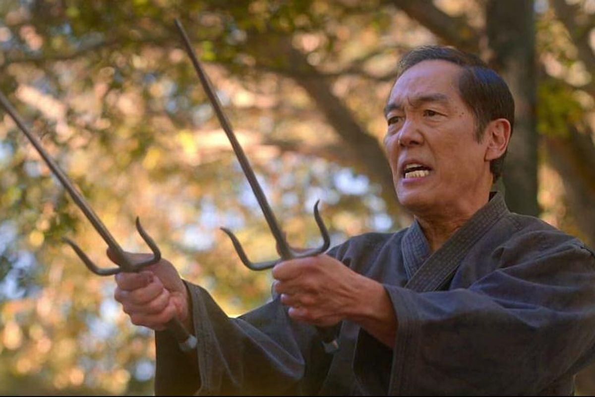 Cobra Kai verso la sesta stagione: un elogio della forza, aggiornata ma non stravolta