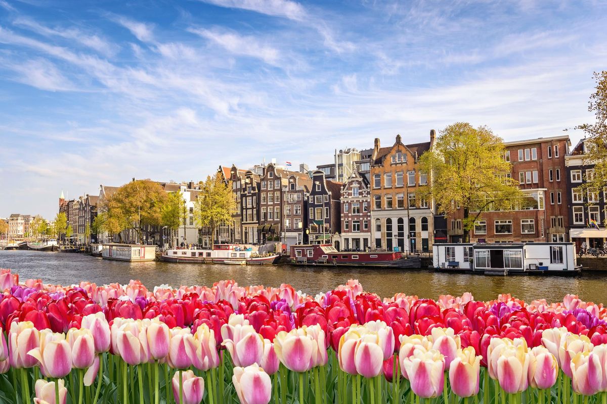 Amsterdam in 48 ore