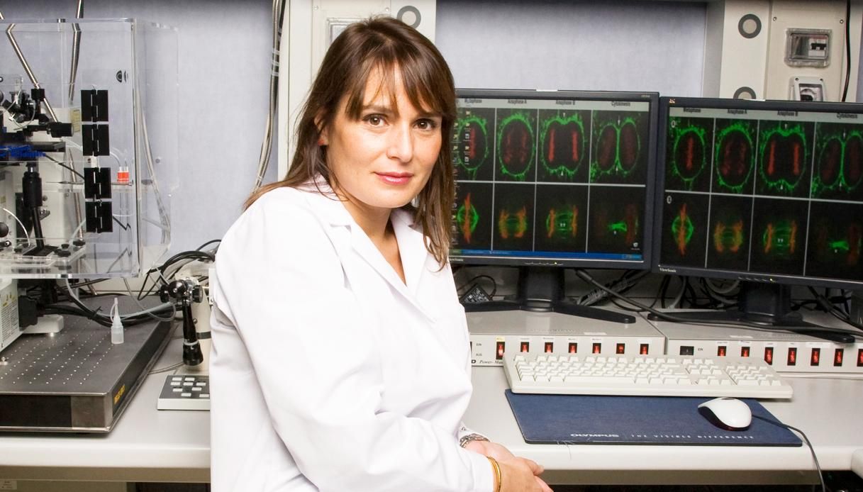 La virostar ultrà delle competenze blatera di politica per farsi lo spot