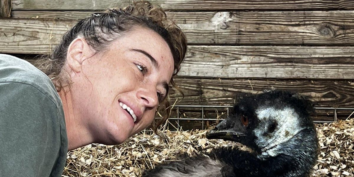 Emmanuel, TikTok-Famous Emu, Has Contracted Avian Flu