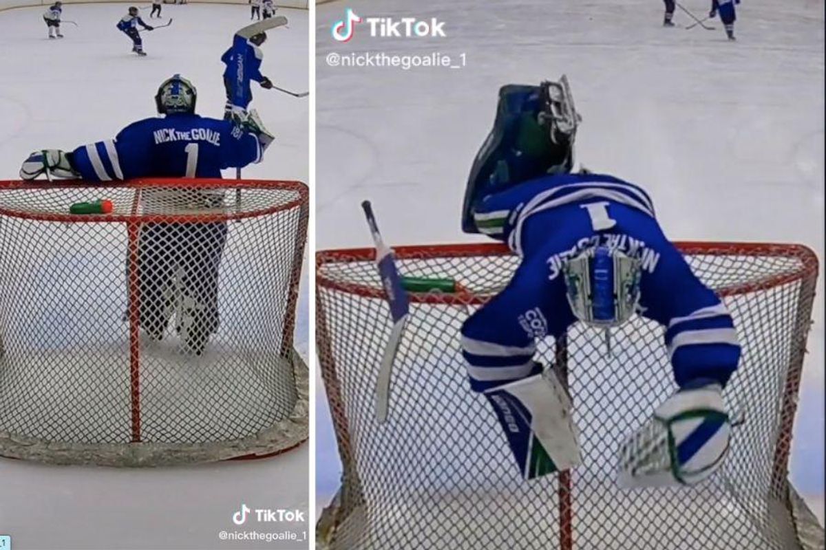 screenshot of hockey goalie