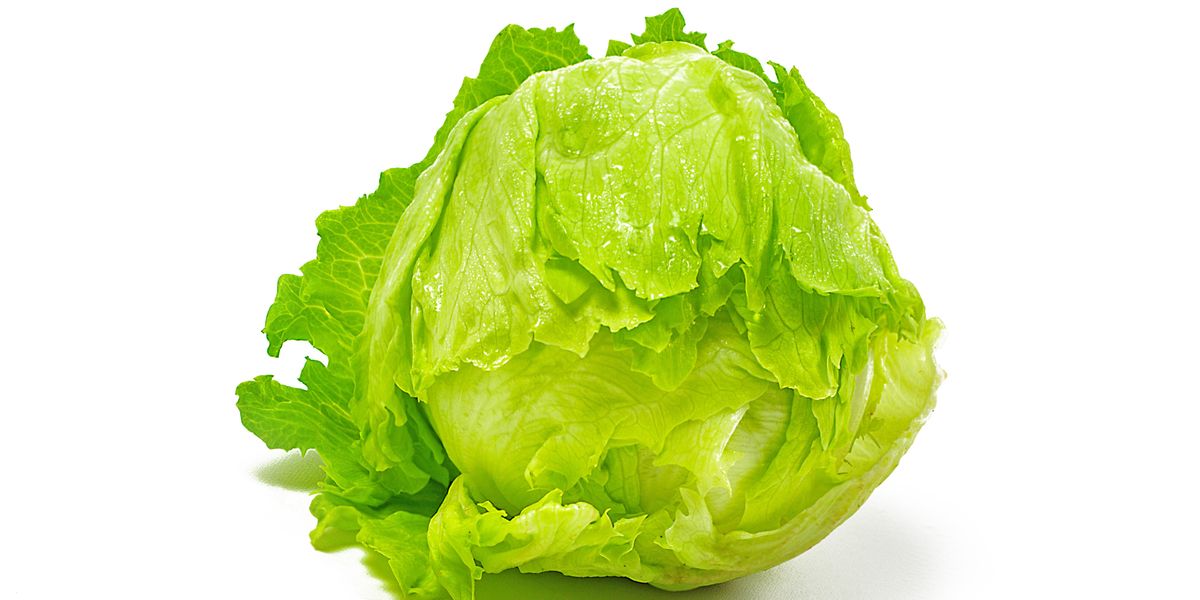 Viral Head of Lettuce Outlasts UK Prime Minister Liz Truss PAPER Magazine