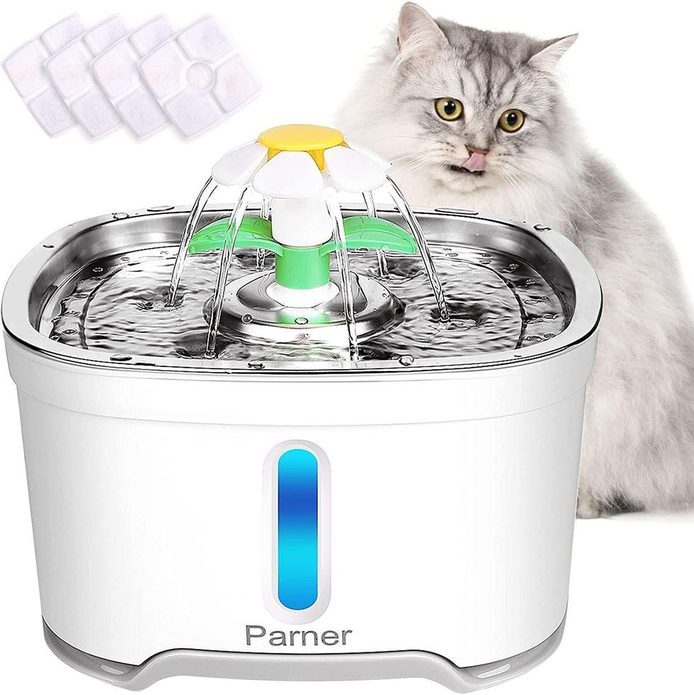 a photo of a cat playing in Parner Pet Water Fountain