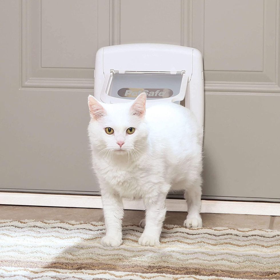 A photo of a cat coming through PetSafe Exterior and Interior Cat Door