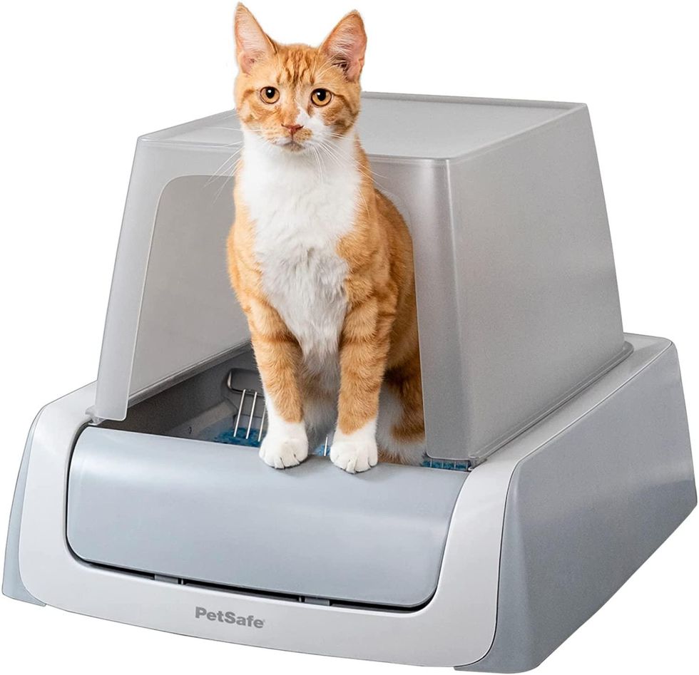 a photo of a cat in PetSafe Scoopfree Automatic Self-Cleaning Hooded Cat Litter Box