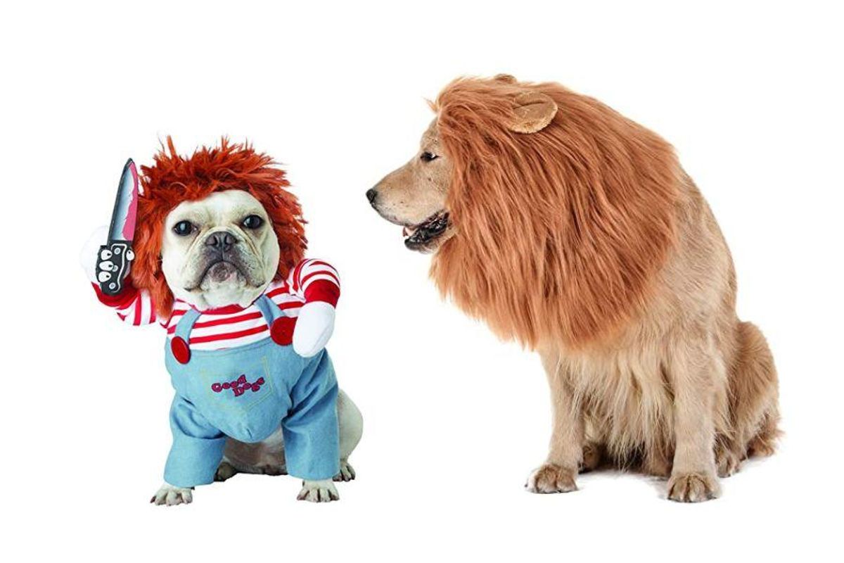halloween costumes dogs