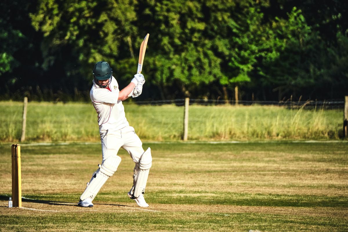 cricket, India, celebrating holiday, University of Michigan