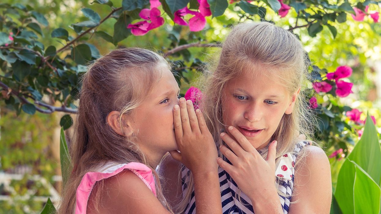 People Explain Which Popular Rumor From School Actually Turned Out To Be True
