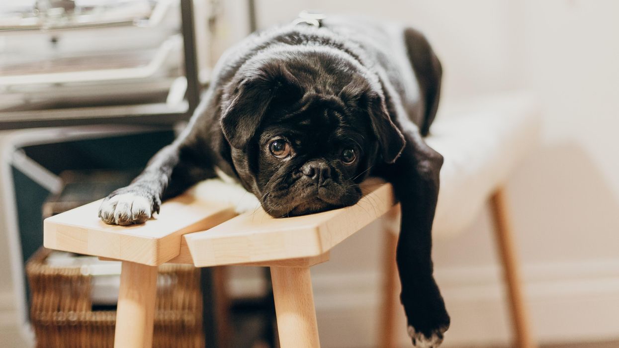 People Share The Best Jobs For Lazy People To Consider