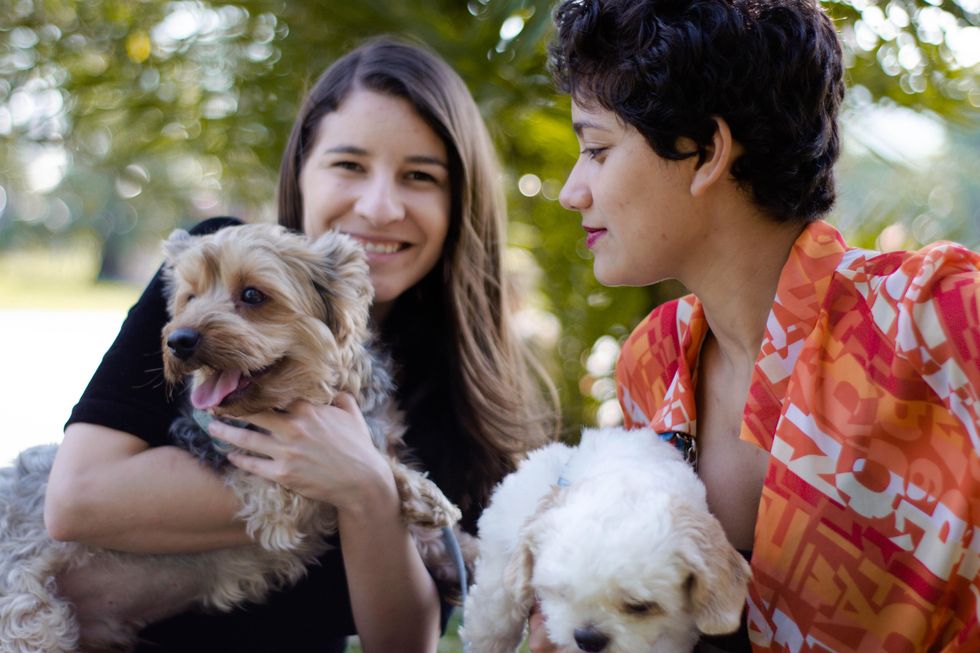 shared interest, making friends, dog park, group involvement