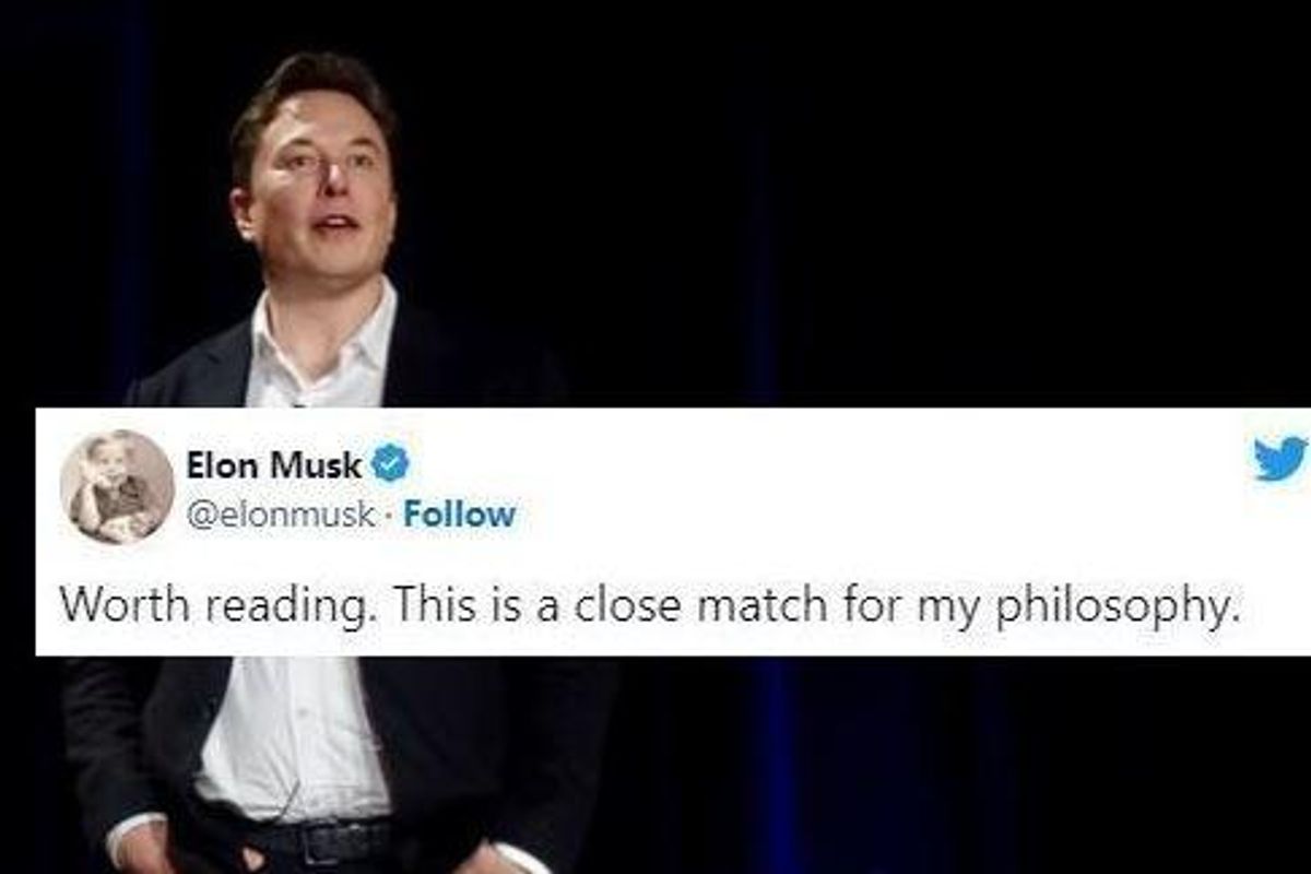 elon musk, longtermerism, elon musk twitter