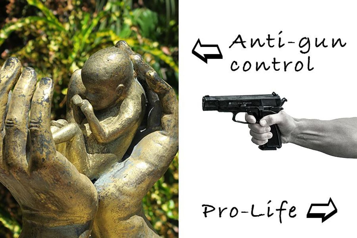 gun control, abortion rights, celebrity, comedy, legal rights