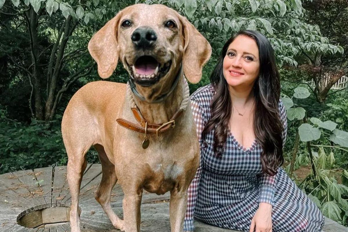 Popular veterinarian Dr. Lisa Lippman shares 5 tips to help you and your dog thrive this holiday season