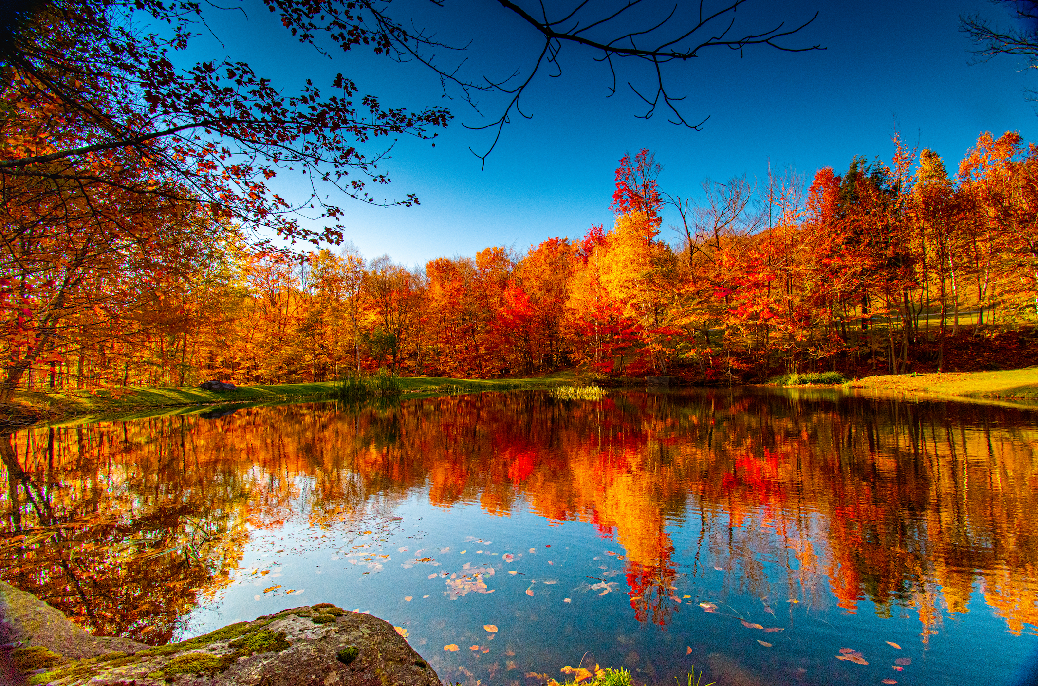 Autunno fa rima con foliage: ecco dove ammirare i migliori in Italia e non solo