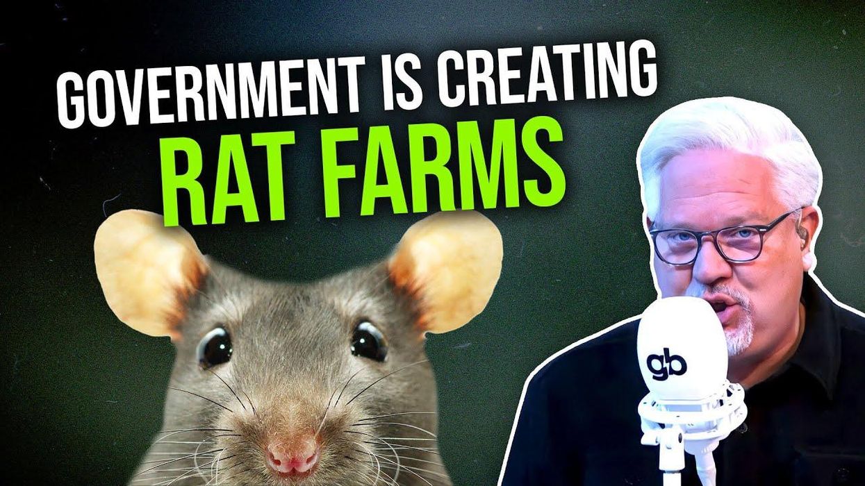 Glenn: Vietnam RAT FARMS prove the free market ALWAYS WORKS