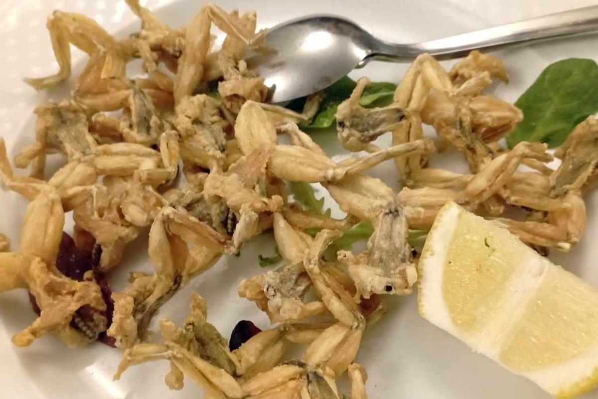 Le rane e i missoltini orgoglio gourmet della povertà padana