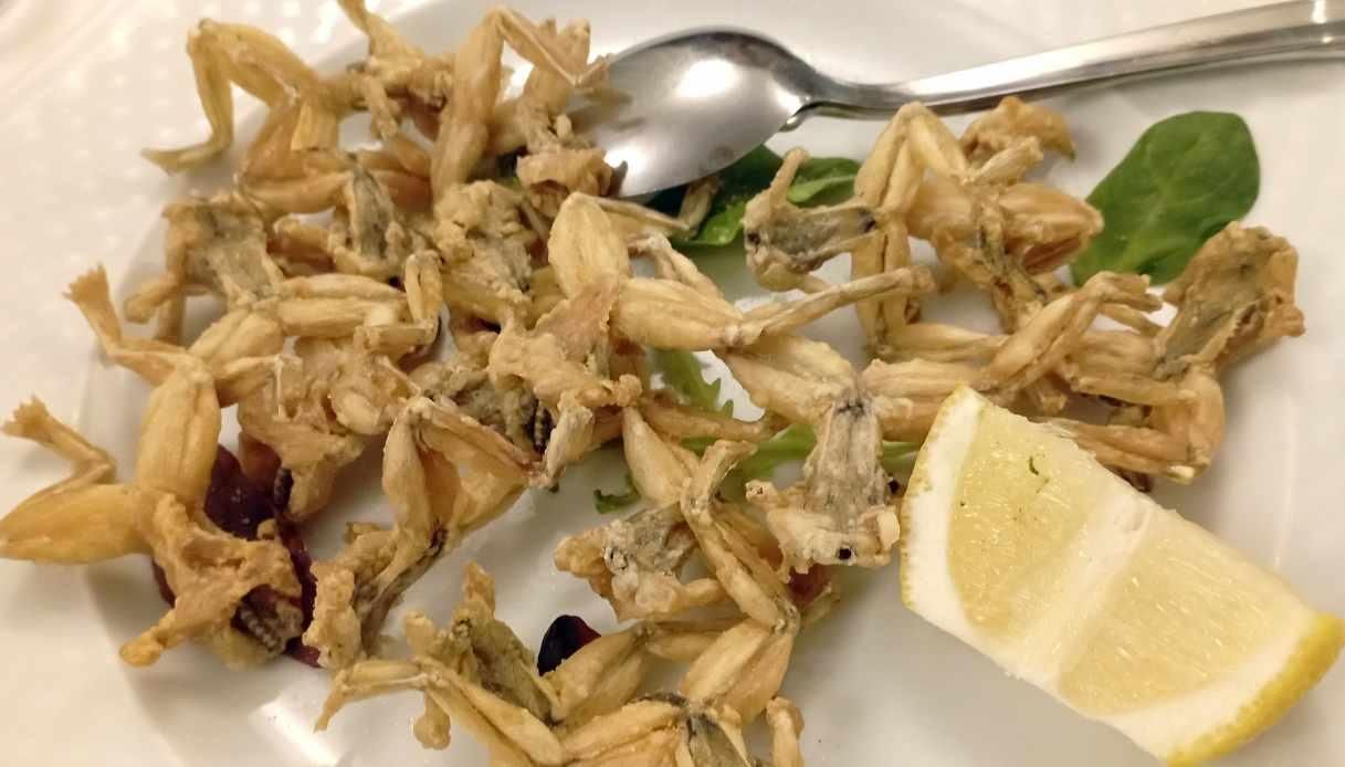 Le rane e i missoltini orgoglio gourmet della povertà padana