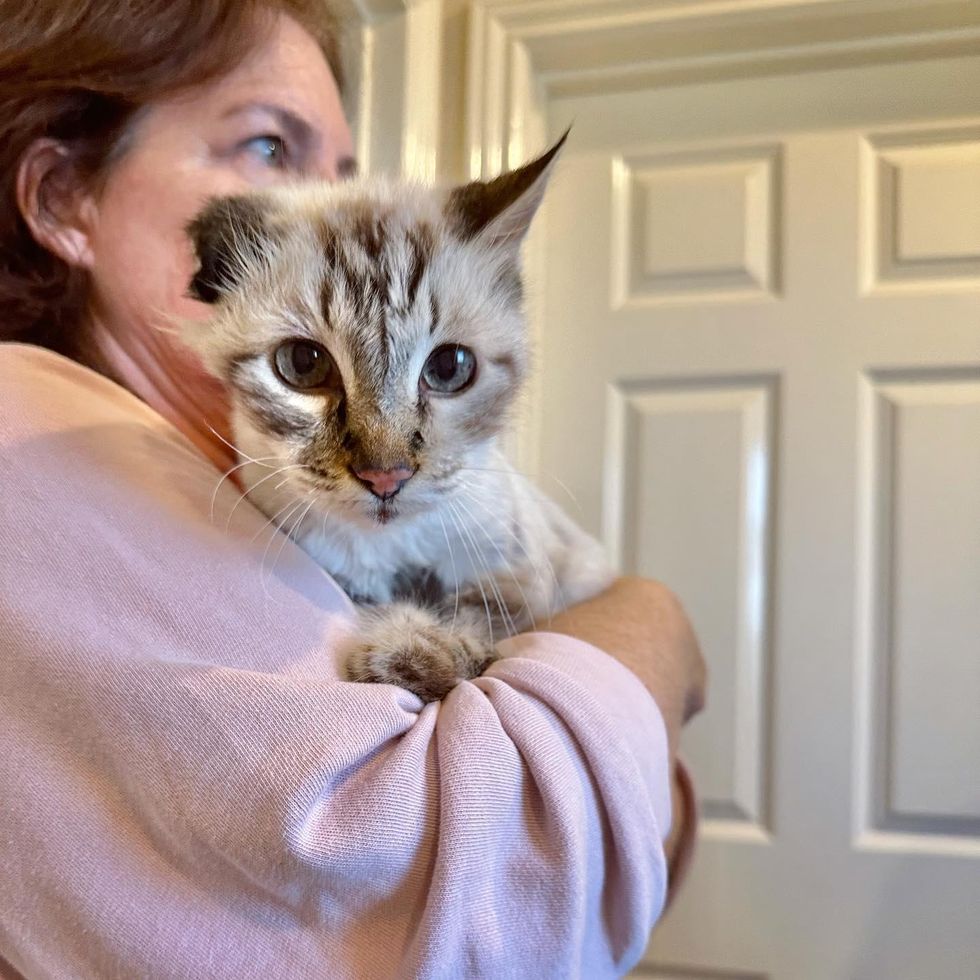 Cat Gives Sweetest Greetings Every Morning to 'Thank' His People for ...