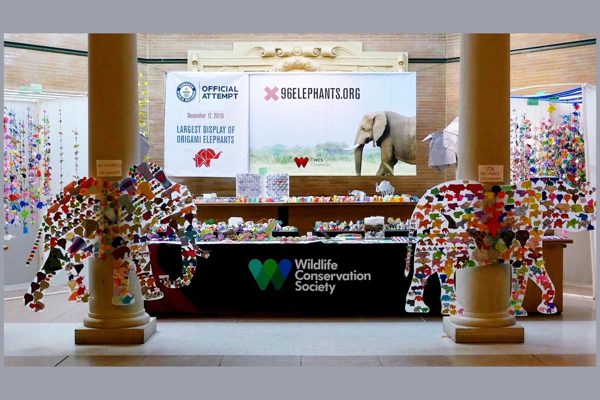 Guiness World Record, origami, conservation, elephants
