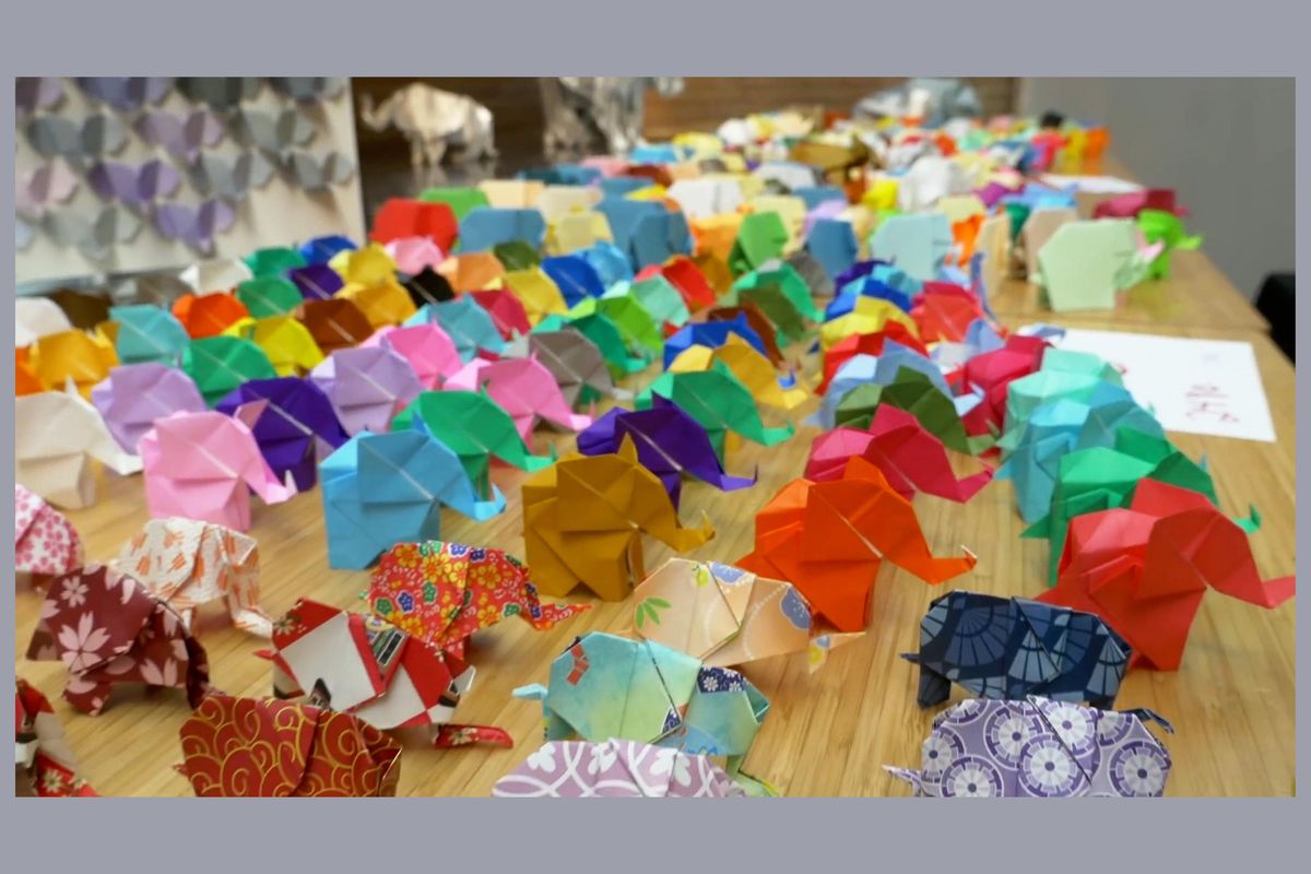 There's a Guinness World Record for origami elephants. The story behind