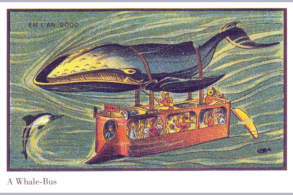 whales, transportation, imagination, future predictions