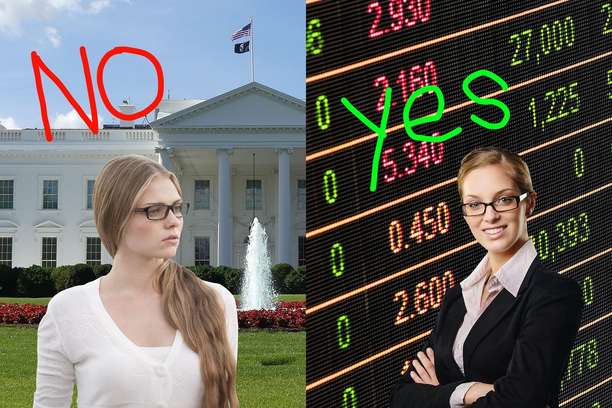 study, government, leadership, CEO, social norms