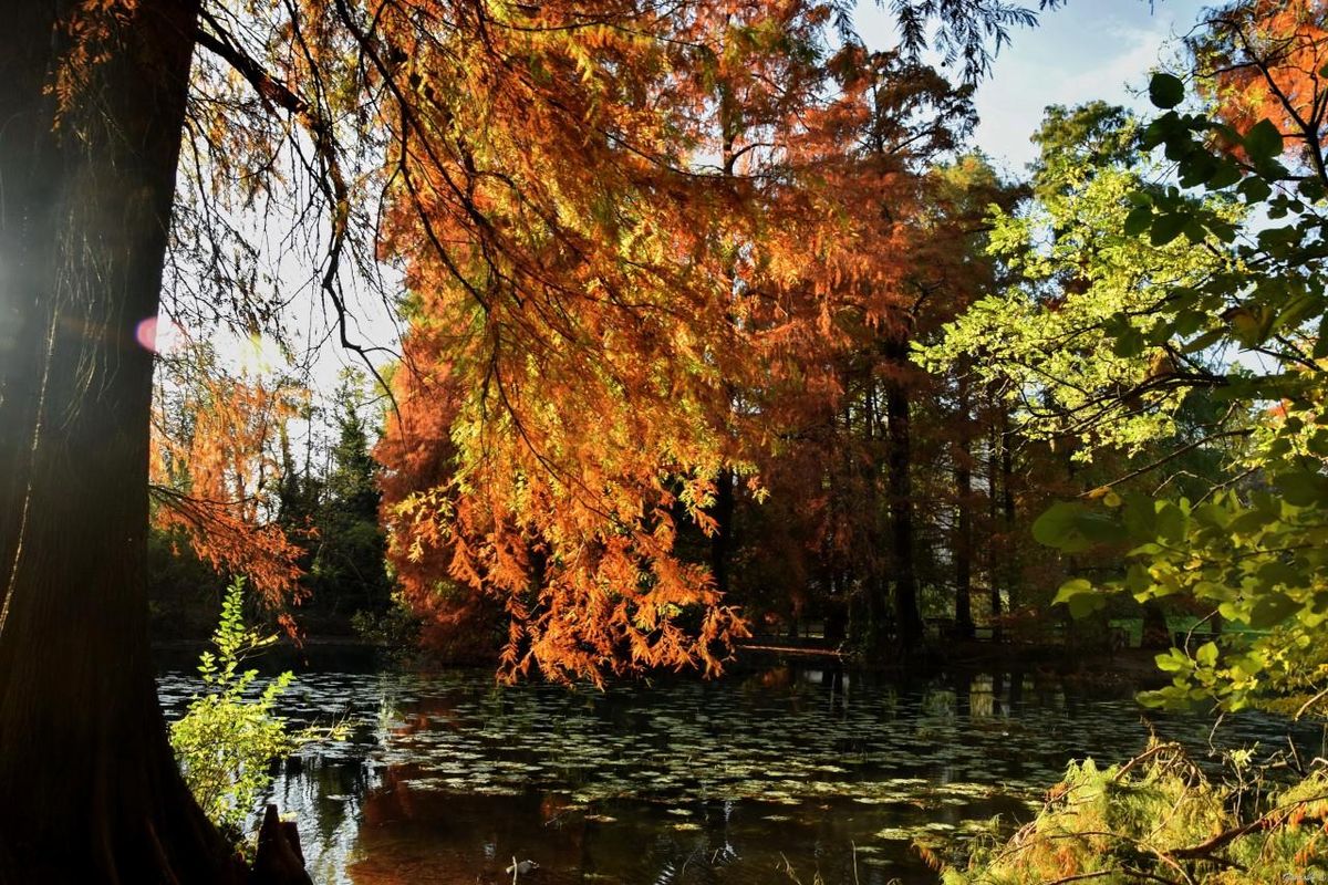 Incantarsi a Brescia nel piccolo paradiso di un parco con il lago