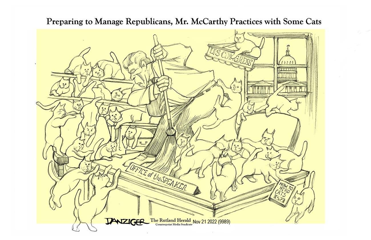 Danziger Draws