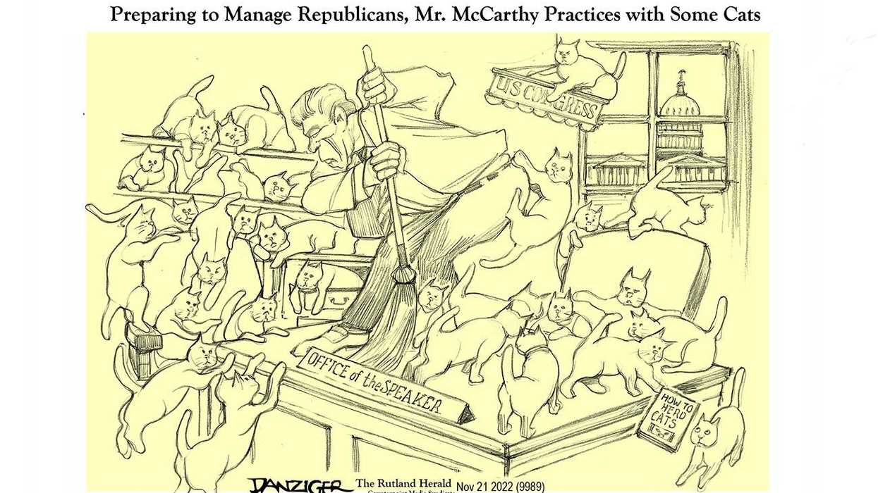 Danziger Draws