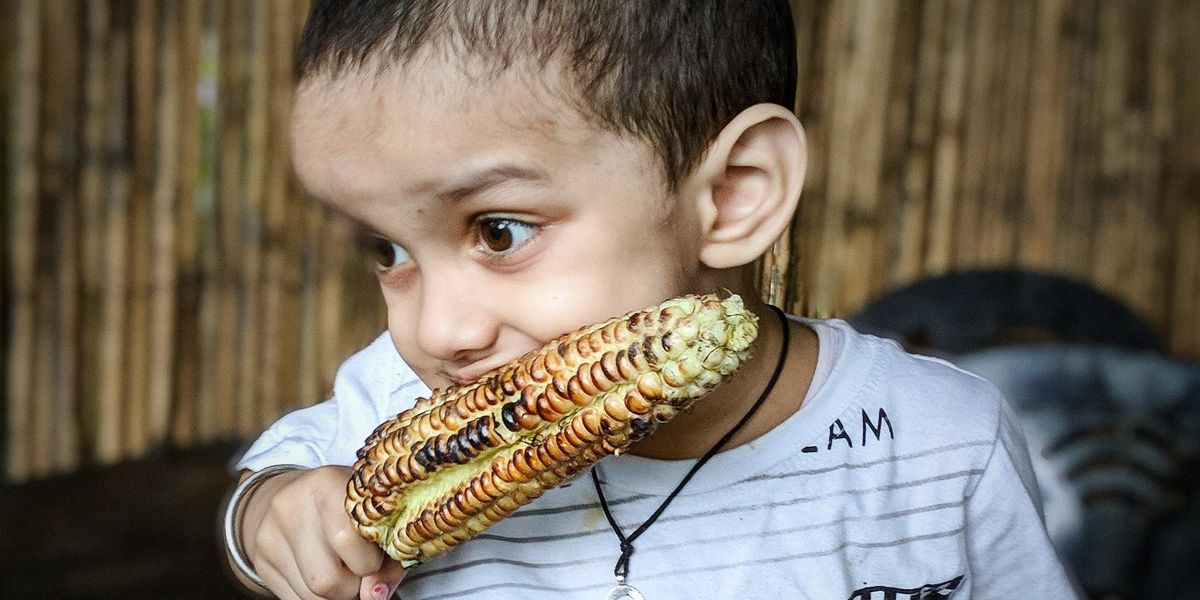 A child eating a burnt corn on the cob