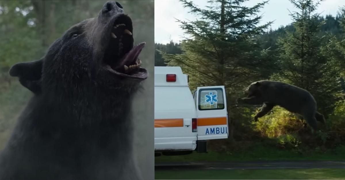 screenshots from "Cocaine Bear" trailer