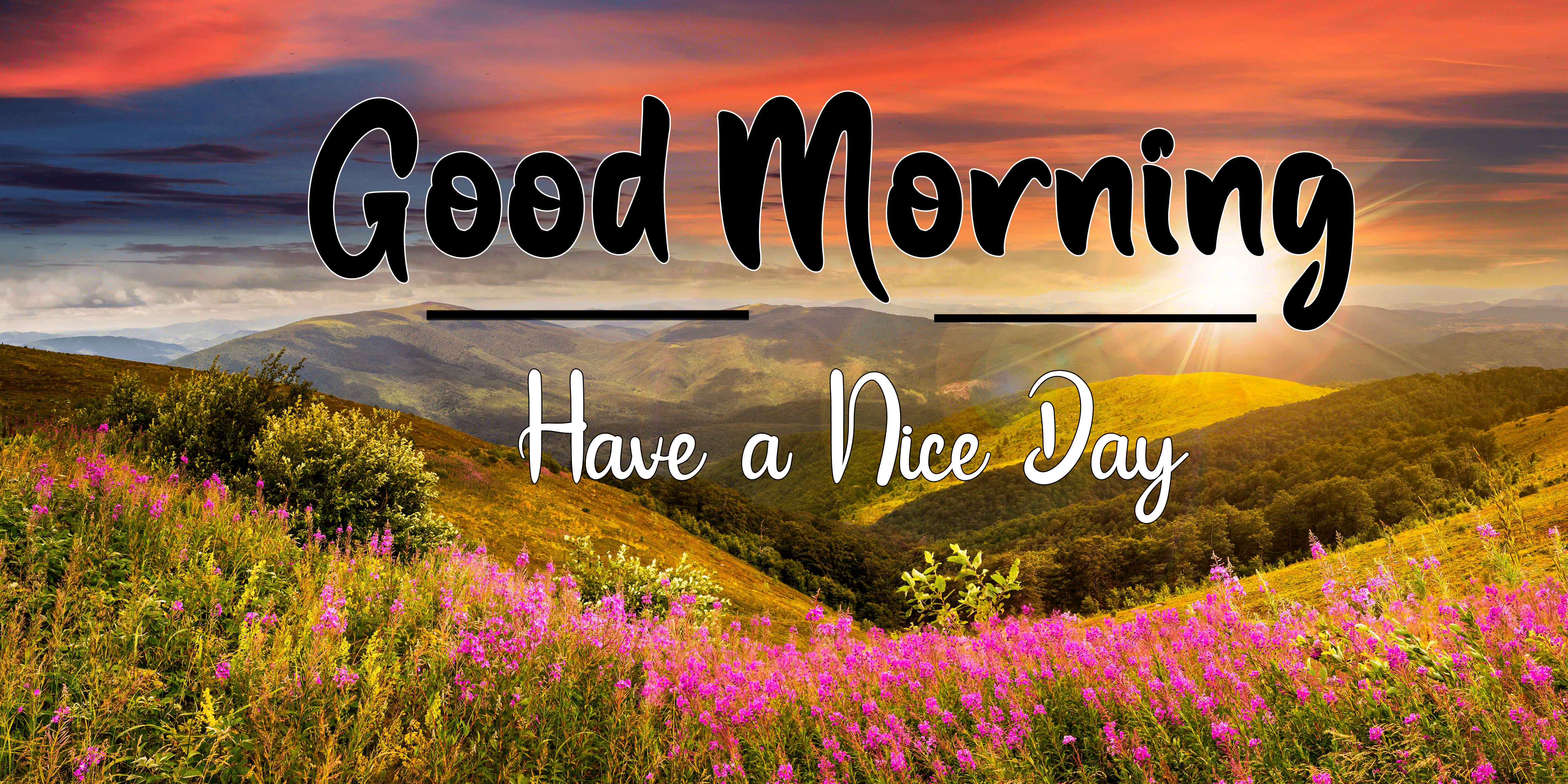 1080p HD Good Morning Images Wallpaper Download 1080p HD Good Morning Images Wallpaper Download