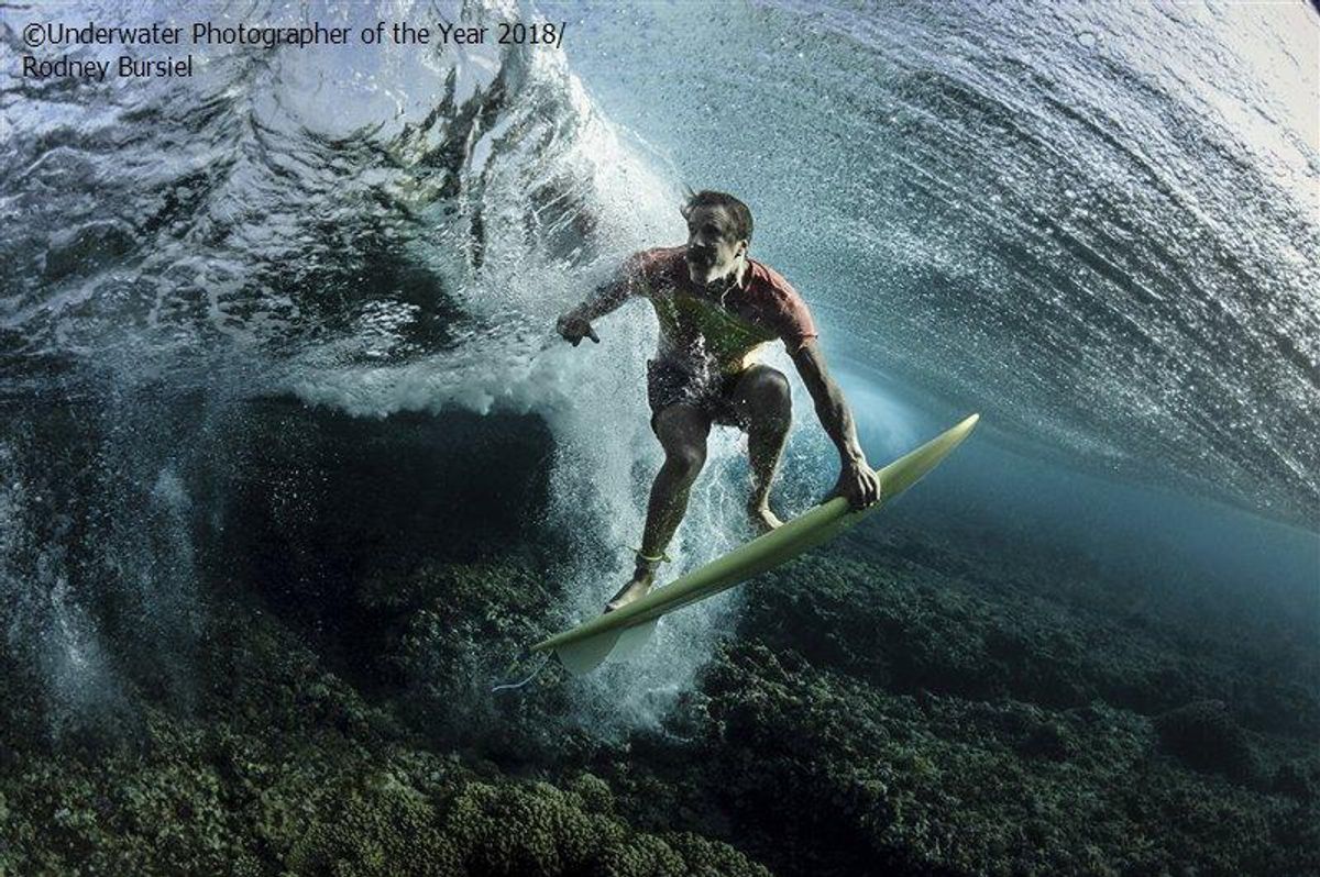 surfing, musician, celebrity, Fiji, ocean waves